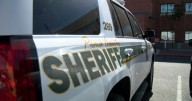 40-year-old man dies after being struck by section of tree during maintenance