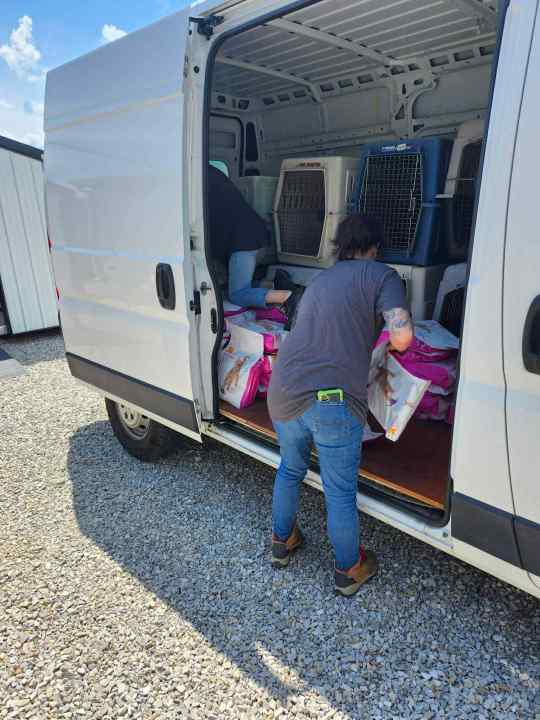 Warrick County Animal Control receives massive donation of cat litter