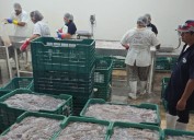 Marea roja “mal manejada” por autoridades en Yucatán