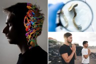 Dave Asprey's 4 crucial steps to therapy with psychedelics