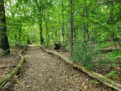 Prospect Park launches first formal nature trail system