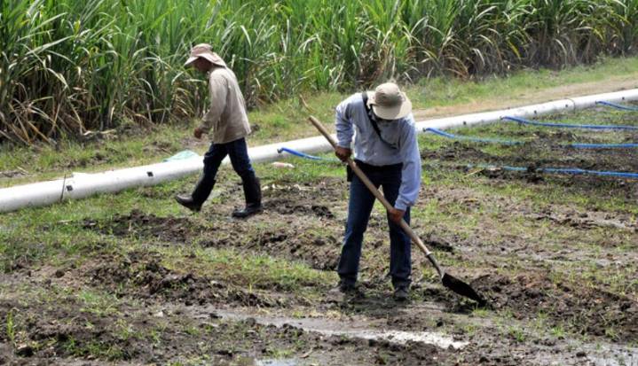 Comunidades del norte del Cauca avanzan en su transformación rural con millonaria inversión