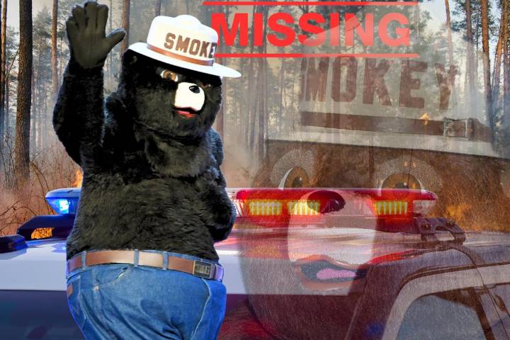 Smokey the Bear Statue Stolen in Pennsylvania