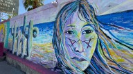 Artistas plásticos realizan homenaje a Tribu Seri