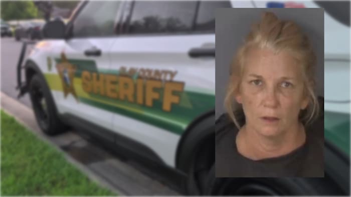 Clay County woman accused of attempted murder after neighbor dispute over dogs leads to shooting: CCSO