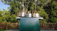 Latin American States Protect Second-Largest American Rainforest as the ‘Great Mayan Reserve’
