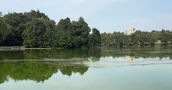 Nottingham parks issue warning over toxic bloom and urge people to keep clear
