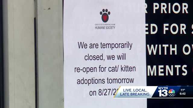 At least two confirmed cases of distemper are halting adoptions here at the greater Birmingham Humane Society,