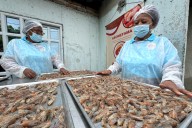 Mujeres del Pacífico colombiano mejoran su vida y el ambiente con una iniciativa pesquera