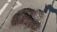 Man throws 'large amount of nails' onto highway in Tacoma
