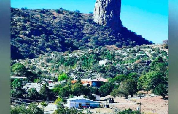 Localizan a cuatro cuerpos calcinados en vehículo en Moris