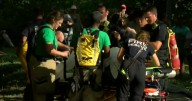 Missing dog leads to water rescue for 2 people in Menomonee Falls