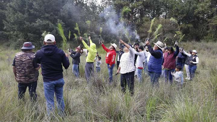 Siembran vida: vecinos y autoridades plantan 500 árboles en Cacalomacan