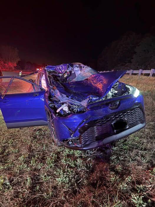Cow hit and killed on I-86, Sheriff's Office investigating