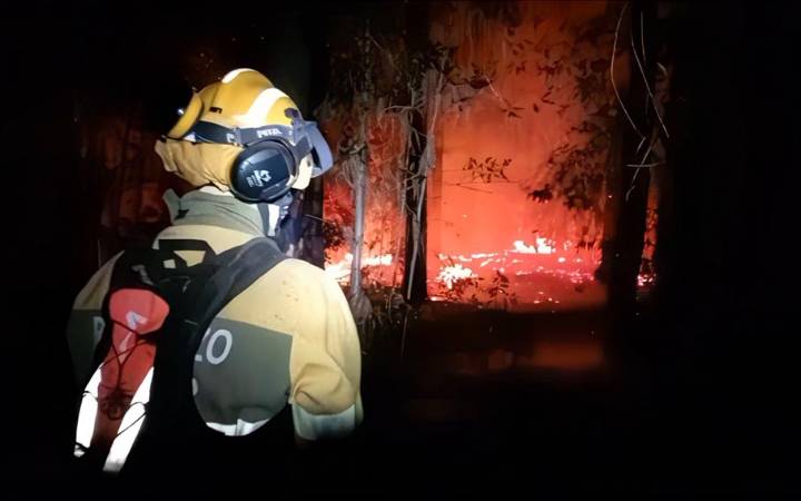 Incendios forestales: ¿cómo prevenirlos y actuar ante ellos?