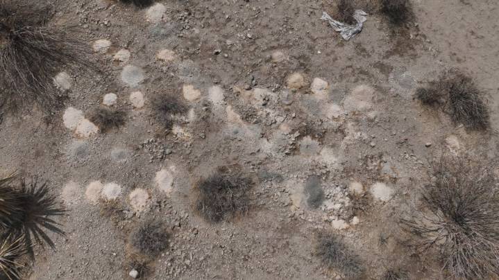 Who left 100+ piles of cremated human remains in the desert outside Las Vegas?