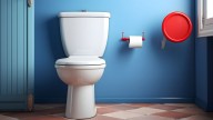 Ni de cuclillas ni poniendo papel en la taza: lo que tienes que hacer cuando vayas a un baño público