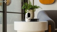 Arlo’s new lineup of smart home cameras include AI features for better alerts