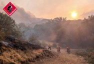 Bomberos alicantinos encaran la segunda jornada contra incendios en Castilla y León