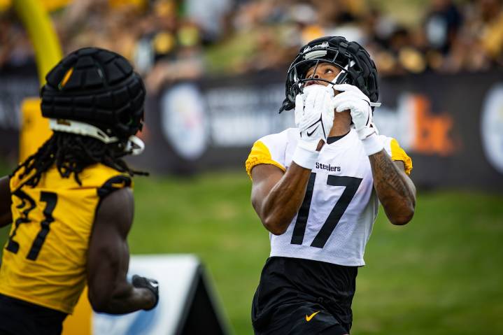Dolphins cut ties with former Michigan, Steelers wide receiver