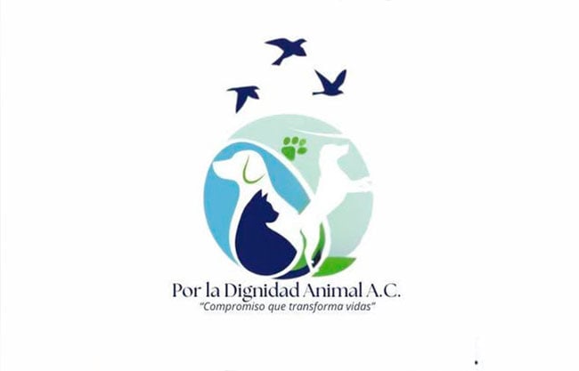 Nace Dignidad Animal A.C