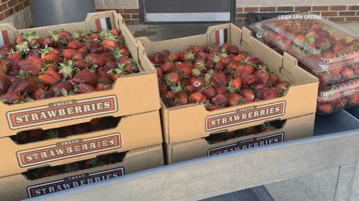 Bleckley County schools serve up fresh food with help from local farms