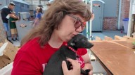 NBC Bay Area and Telemundo 48 help Clear the Shelters