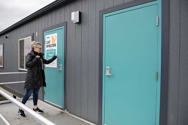 A stray cat, upset supporters and a locked door: Washougal animal shelter makes changes after criticism