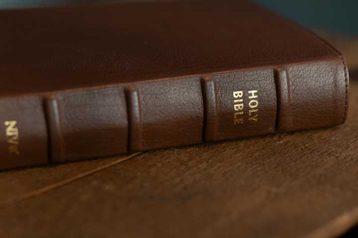 The Catholic Church Played a Major Role in Slavery