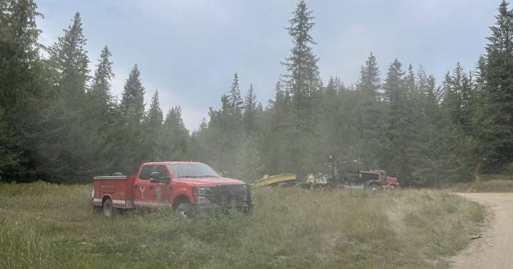 Firefighters battle wildfire burning north of Colville