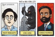 CARTOONS: Things that are bad for New York City