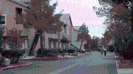 Las Vegas Vietnam veteran left paying the bill after HOA’s tree roots cause issue