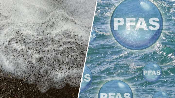 Encuentran PFAS en la sangre de nuevomexicanos