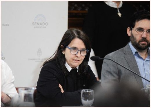 Polémicos dichos de una senadora del PRO: “No creo que los niños argentinos tengan derecho a venir al Garrahan a ser curados”