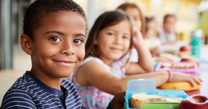Back to School Food Allergy Guide: What Parents Need to Know