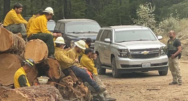ICE arresta a bomberos mexicanos mientras apagaban incendio en EEUU