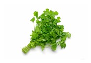 Do you like cilantro?