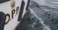 Man shot dead by Ontario police near Turkey Point marina, watchdog investigating