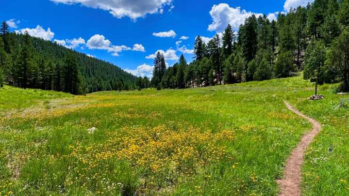 Labor Day 2025: Las mejores escapadas de fin de semana en Arizona