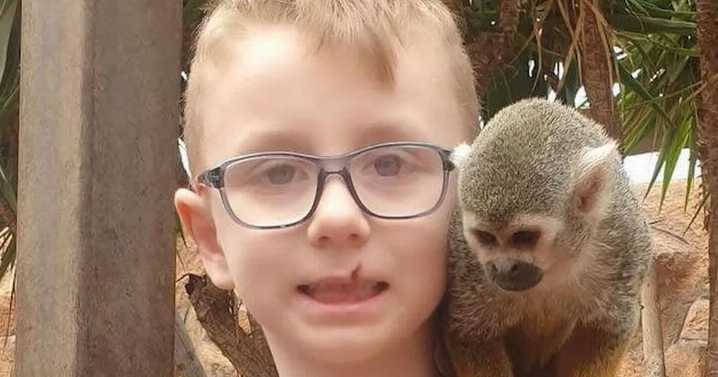 Schoolboy killed in horror home accident as Health and Safety Authority notified