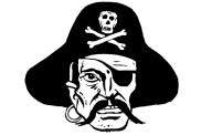 Area Volleyball: Pirates fall to Panthers