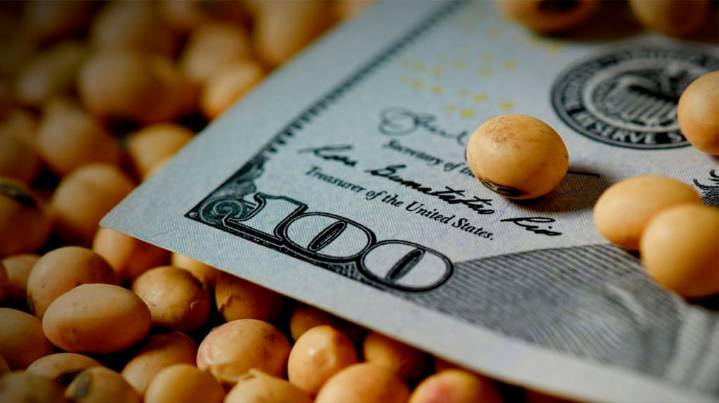 A contramano de Chicago e impulsada por el dólar, la soja subió en Rosario y alcanzó los $400 mil por tonelada