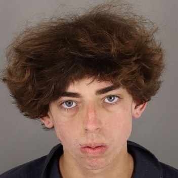 Indictment: 18-year-old allegedly steals firearm from vehicle, flees police