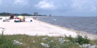 How to protect yourself from Vibrio vulnificus, the bacteria found in some coastal waters