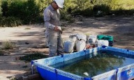 Alerta por el dengue: intensifican los trabajos para la prevención ante la temporada de calor y lluvias