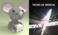 Polidelta atrapó al “Ratón Pérez” con dos sacos de comida al lomo en galpón de Mercal