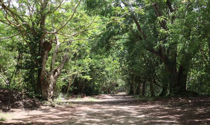 FOTOS: La reserva en Humacao que te hará suspirar y aventurar