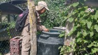 Eliminan criaderos de mosquitos en los 13 municipios de Campeche con control larvario
