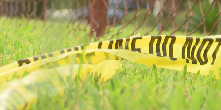 Man charged with murder after skeleton found on South Carolina farm
