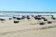 NJ beach weather and waves: Jersey Shore Report for Saturday